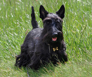 Anna wie sie eben ist!