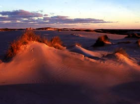 Sylter Sonnenuntergang